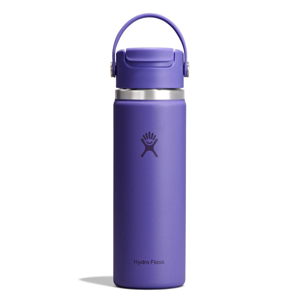 20 oz Flip Sip Travel Mug - Utopia Purple